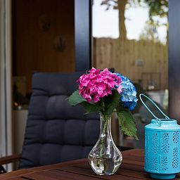 Bloemen op het terras van Vakantiehuis in Bruchterveld, charmante details in Vechtstreek, Overijssel.