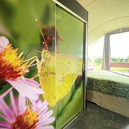 Unterkunft 543511 - Ferienhaus Vechtstreek - Vakantiehuis in De Krim