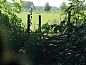 Guest house 544205 • Holiday property Vechtstreek • Vakantiehuisje in Dedemsvaart  • 9 of 10