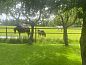 Guest house 544402 • Holiday property Vechtstreek • Vakantiehuisje in Vinkenbuurt  • 11 of 12