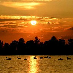 Kanus und Boote im Ferienhaus OV269 in Giethoorn, Nordwest Overijssel, umgeben von Natur.