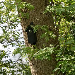 Pittoreske grachten in Giethoorn nabij OV270 vakantiehuis, ideaal voor een ontspannen verblijf in Noordwest Overijssel.