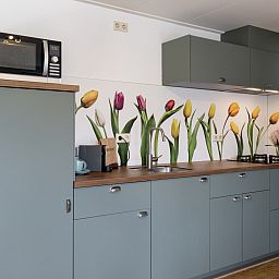 Moderne Kueche im Ferienhaus OV117 in Giethoorn, Nordwest Overijssel, mit farbenfroher Tulpenwanddekoration.