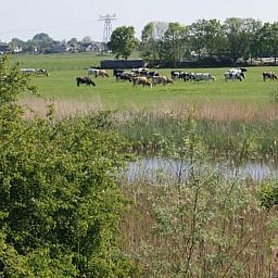Unterkunft 550213 - Zelthaus Noordwest Overijssel - Safaritent
