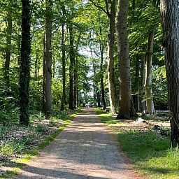 Unterkunft 550302 - Ferienhaus Noordwest Overijssel - Vakantiehuis in Vollenhove