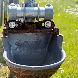 Moderne Kueche im Ferienhaus OV700, Scheerwolde, mit schlichten weissen Schraenken und Geraeten in Overijssel.