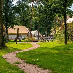 Unterkunft 551433 - Zelthaus Noordwest Overijssel - Glampingtent
