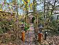 Guest house 551480 • Chalet Noordwest Overijssel • Chalet Boslust  • 2 of 10