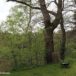Verblijf 551486 - Vakantiewoning Noordwest Overijssel - De Witte Bergen 65
