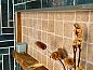 Guest house 551617 • Holiday property Noordwest Overijssel • Vakantiehuisje in Kalenberg  • 13 of 26
