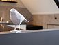 Guest house 551707 • Holiday property Noordwest Overijssel • Huisje in Sint Jansklooster  • 13 of 24