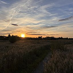 Unterkunft 551719 - Ferienhaus Noordwest Overijssel - OV787