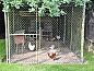 Guest house 551904 • Holiday property Noordwest Overijssel • Prachtig gelegen 2 persoons vakantiehuis in Steenwijk  • 2 of 19
