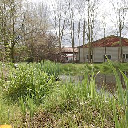 Flowers on the terrace of OV669 vacation home in Blokzijl, Overijssel.