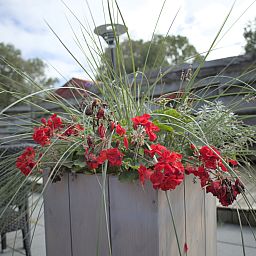 Stijlvolle lounge met rode banken in vakantiehuis OV670, Blokzijl, Overijssel, ideaal voor ontspanning.