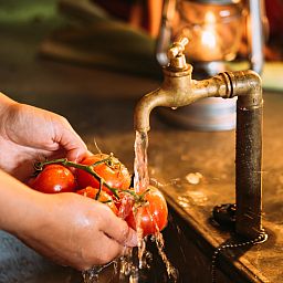 Unterkunft 552607 - Zelthaus Noordwest Overijssel - Tenthuisje met warme privédouche bij de boer met hottub