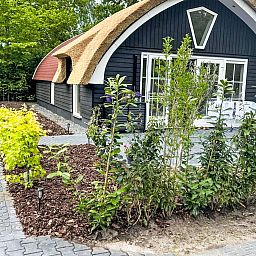 Unterkunft 552701 - Ferienhaus Noordwest Overijssel - Vakantiehuis Romantische Boscottage met Privacy
