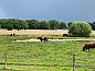 Guest house 553313 • Holiday property Noordwest Overijssel • Vakantiehuisje in Staphorst  • 11 of 20