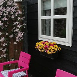 Guest house 553406 - Holiday property Noordwest Overijssel - Vakantiehuisje in Zalk