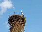 Guest house 560927 • Holiday property Utrecht noord • Boerderijappartement voor 4 pers. a/d Vecht  • 7 of 14