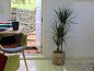 Verblijf 570416 • Vakantiewoning Utrechtse Heuvelrug • Vakantiehuis in Doorn  • 11 van 21
