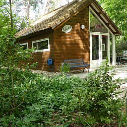 Guest house 570464 - Chalet Utrechtse Heuvelrug - Solange 