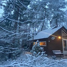 Guest house 570464 - Chalet Utrechtse Heuvelrug - Solange 