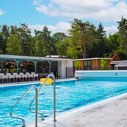 Zwembad bij Vakantiehuis De Thijmse Berg in Rhenen, Utrechtse Heuvelrug, perfect voor verkoeling en plezier.