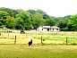 Guest house 570736 • Holiday property Utrechtse Heuvelrug • Vakantiehuis in Rhenen  • 3 of 26