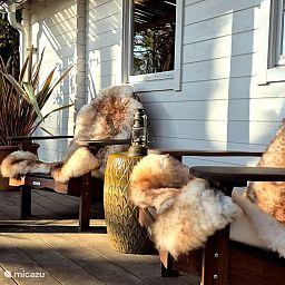 Unterkunft 571406 - Ferienhaus Utrechtse Heuvelrug - CoCo Cabin