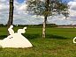 Verblijf 571411 • Vakantiewoning Utrechtse Heuvelrug • Huisje in Woudenberg  • 12 van 21