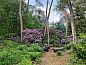 Guest house 571812 • Holiday property Utrechtse Heuvelrug • Vakantiehuis in Maarn  • 5 of 26