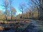 Guest house 571813 • Holiday property Utrechtse Heuvelrug • Huisje in Maarn  • 14 of 20