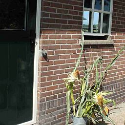 Ingang van Vakantiehuisje in Achterveld, Utrechtse Heuvelrug, met rustieke details en een groene deur.