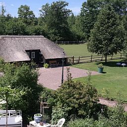 Gemuetliches Interieur eines Ferienhauses in Maarsbergen mit Holzinterieur, Utrechtse Heuvelrug.
