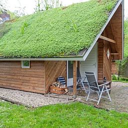 Vakantiehuis in Leerdam, Utrecht met groen dak en terras.