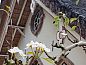Guest house 580803 • Holiday property Utrecht eo • Vakantiehuis in Linschoten  • 2 of 26