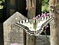 Guest house 580803 • Holiday property Utrecht eo • Vakantiehuis in Linschoten  • 9 of 26