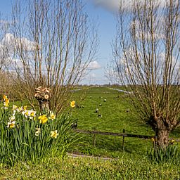 Geniet van het prachtige uitzicht op het groene landschap vanuit Vakantiehuisje in Hekendorp, Utrecht, een idyllisch vakantiehuis.