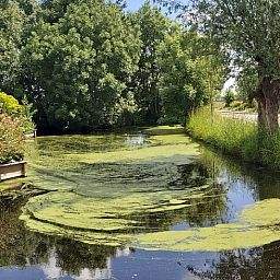 Unterkunft 582102 - Ferienhaus Utrecht eo - Vakantiehuisje in Oudewater