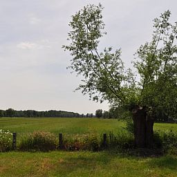 Guest house 582804 - Holiday property Utrecht eo - Vakantiehuisje in Groenekan, Gemeente De Bilt