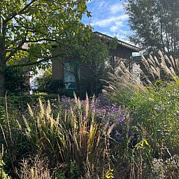Ferienhaus in Schalkwijk, umgeben von einem ueppigen Garten und Natur, gelegen in der ruhigen Landschaft von Utrecht fuer einen erholsamen Urlaub.