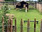 Guest house 583802 • Holiday property Noord Limburg • Bed & breakfast Heitse  • 13 of 26