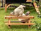 Guest house 583802 • Holiday property Noord Limburg • Bed & breakfast Heitse  • 14 of 26