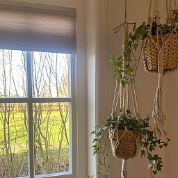 Guest house 589803 - Holiday property Utrecht eo - UT118