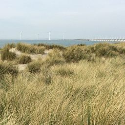 Eingang zum Ferienhaus ZE1121 in Kamperland, Zeeland mit Holzmoebeln.