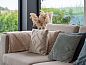 Verblijf 5903366 • Vakantiewoning Noord-Beveland • Sternlaan 9  | De Schotsman  • 11 van 26