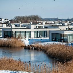 Ducks at snowy bank in Duinvallei 06, vacation home in Kamperland, North Beveland, Zeeland.
