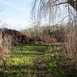 Verblijf 5903521 - Vakantiewoning Noord-Beveland - ZE1735