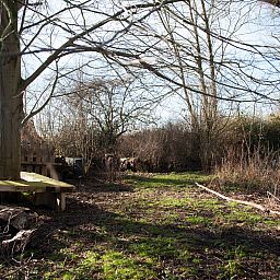 Verblijf 5903521 - Vakantiewoning Noord-Beveland - ZE1735